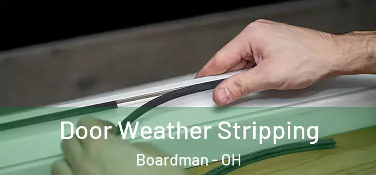 Door Weather Stripping Boardman - OH