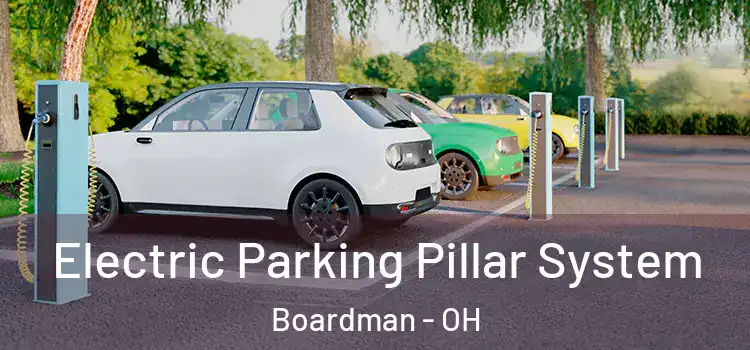 Electric Parking Pillar System Boardman - OH