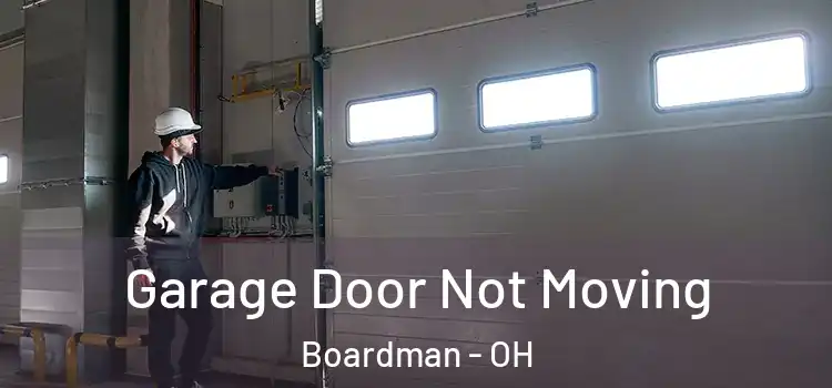  Garage Door Not Moving Boardman - OH