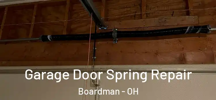  Garage Door Spring Repair Boardman - OH