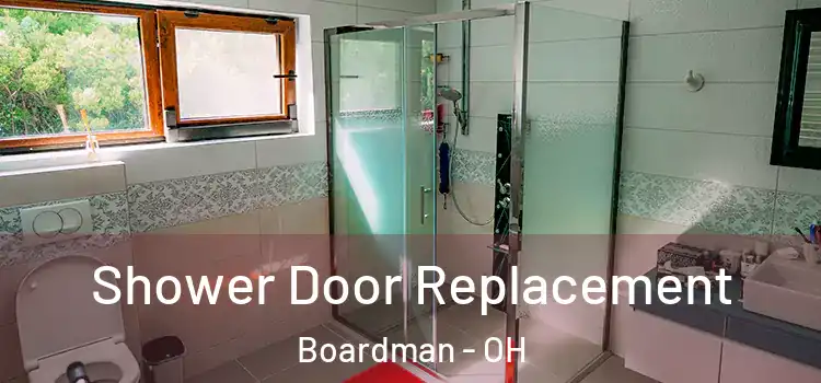  Shower Door Replacement Boardman - OH